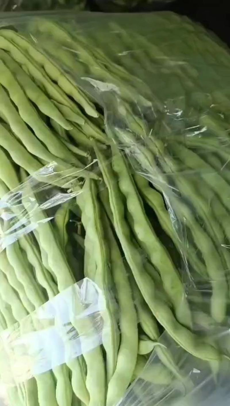 无筋豆，大青豆