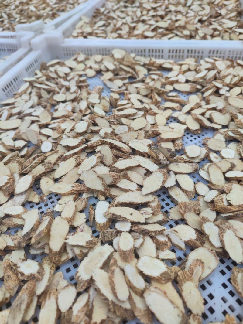 老牛，靓牛大力片靓牛大力片