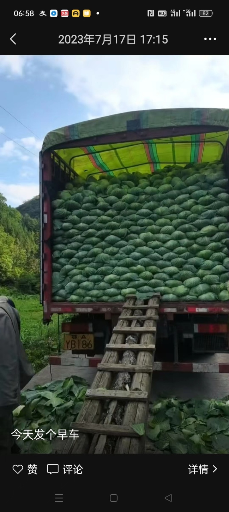 湖北武汉蔬菜基地直供奥其娜平包，新鲜个头大量大从优