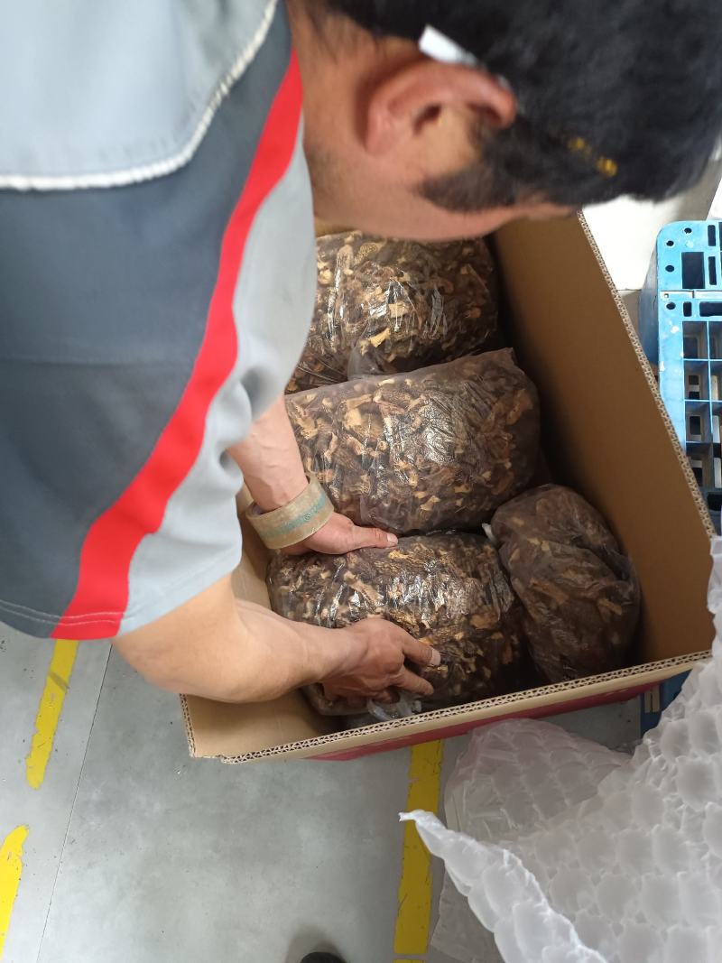 黑虎掌菌
