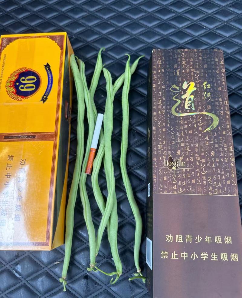 [热卖]云南无筋豆角四季豆产地直发专业代办