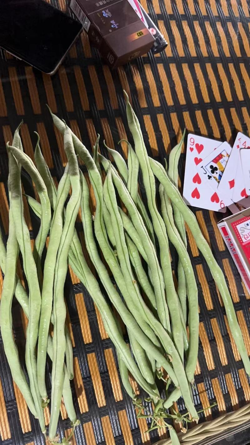 [热卖]云南无筋豆角四季豆产地直发专业代办
