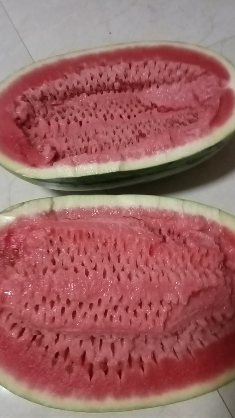 宁夏硒砂瓜，石头缝里长出来的大西瓜基地大吨位供应