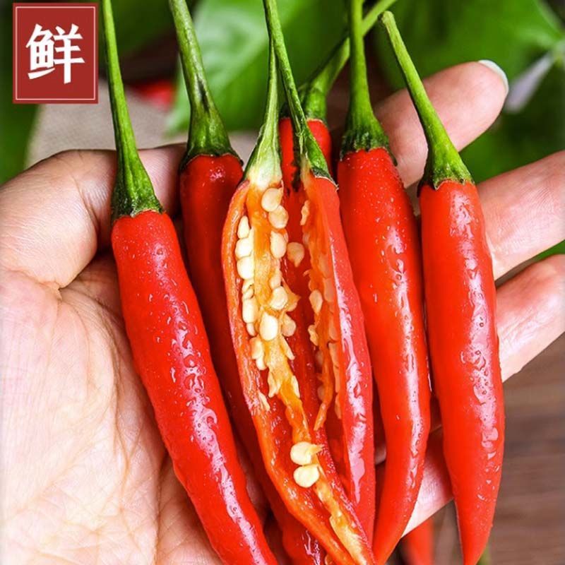 [热卖]云南小米椒辣椒红辣椒朝天椒特辣泡椒