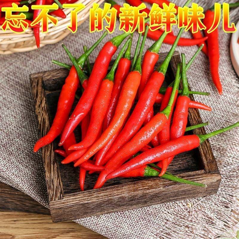 [推荐]云南新鲜小米椒特辣辣椒产地直发专业代办
