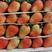云南，夏季草莓已大量上市，发往全国各地，除偏远地区，包邮