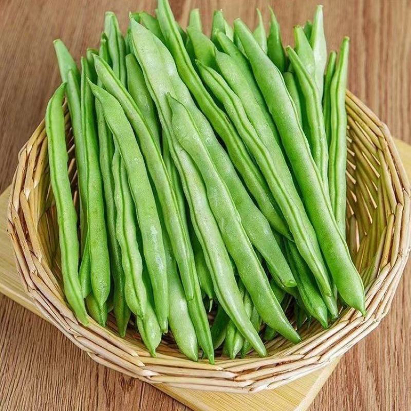 [热卖]云南无筋豆角四季豆产地直发专业代办