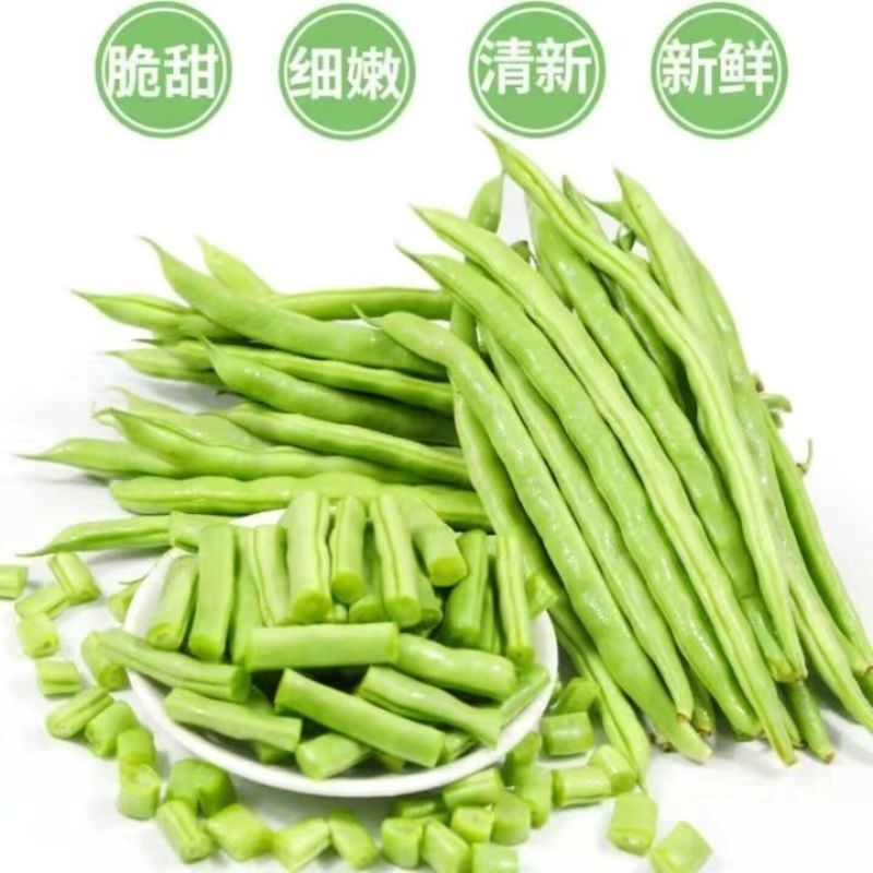 [热卖]云南无筋豆角四季豆产地直发专业代办