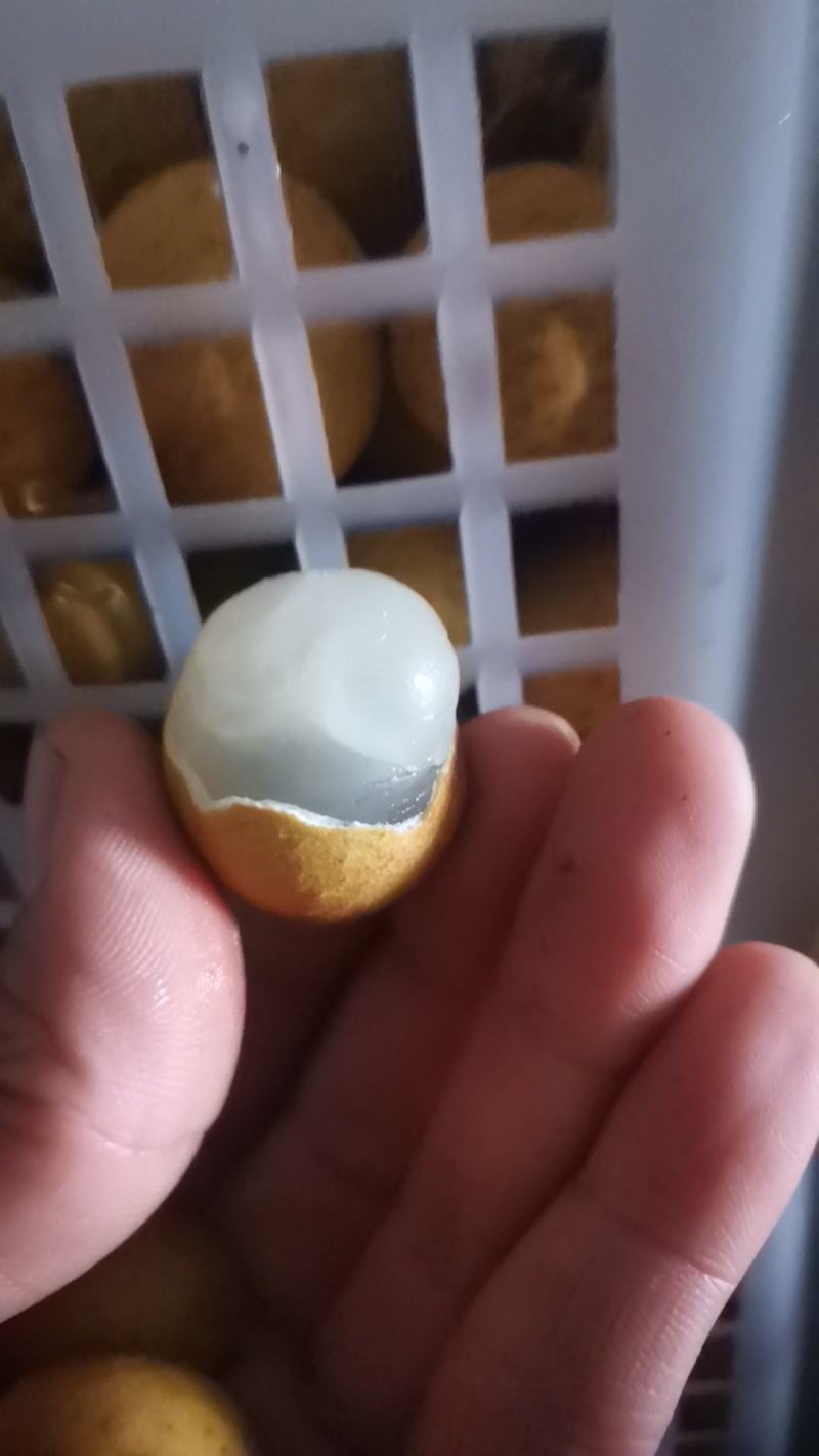 泰国新鲜龙眼