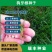 狗牙根草坪种子，四季常青护坡草籽耐践踏绿化百慕大草坪种子