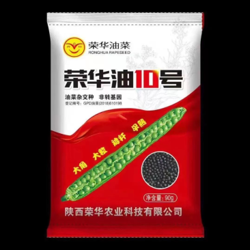 荣华油10号杂交油菜种子抗寒耐旱高产高油低芥酸
