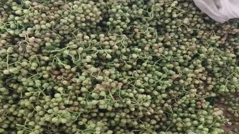 展示白胡椒、黑胡椒与姜黄粉、橄榄油、三文鱼等食材的组合摆拍图,强调营养协同效应 胡椒与食材搭配示意图