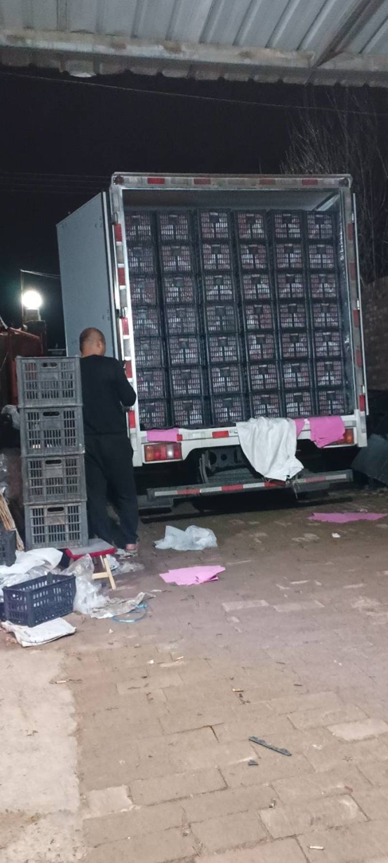 河北衡水【贝贝圣女果】圣女果对接电商市场商超等各类客户