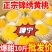 建宁锦绣黄桃爆甜多汁当季水果福建特产正宗