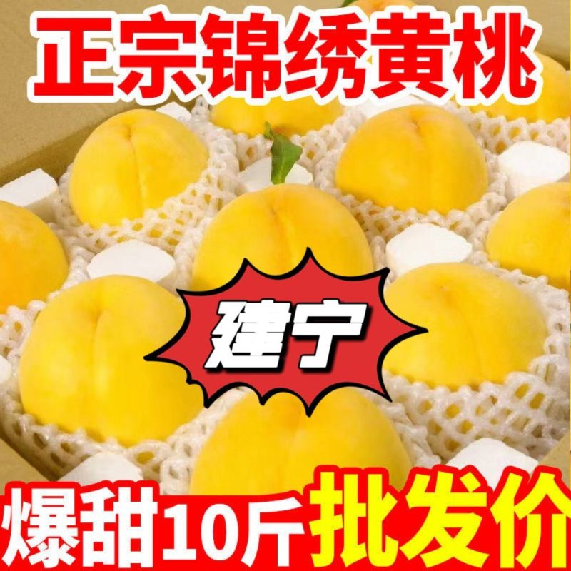 建宁锦绣黄桃爆甜多汁当季水果福建特产正宗