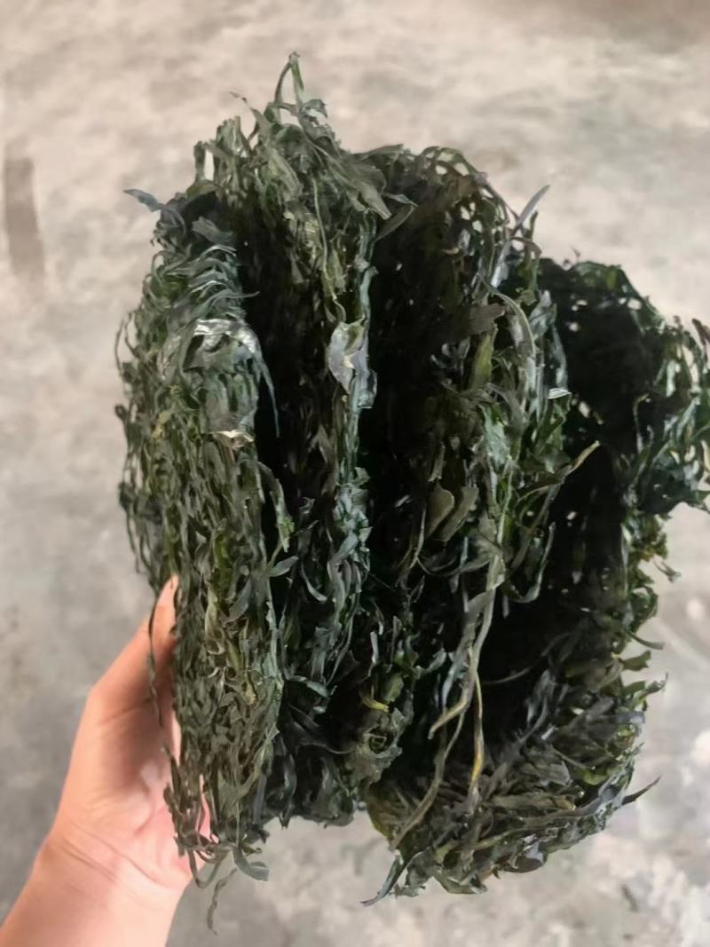 跑江湖烘干海带丝圈圈海带丝干海带丝厂家批发