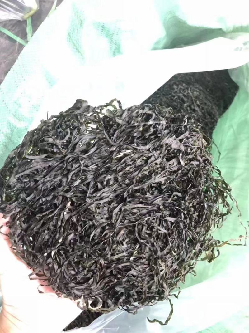 跑江湖烘干海带丝圈圈海带丝干海带丝厂家批发