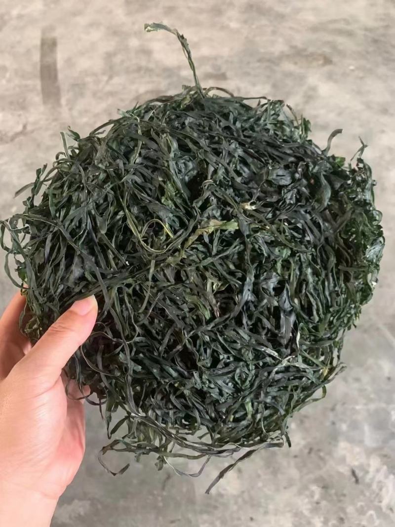 跑江湖烘干海带丝圈圈海带丝干海带丝厂家批发