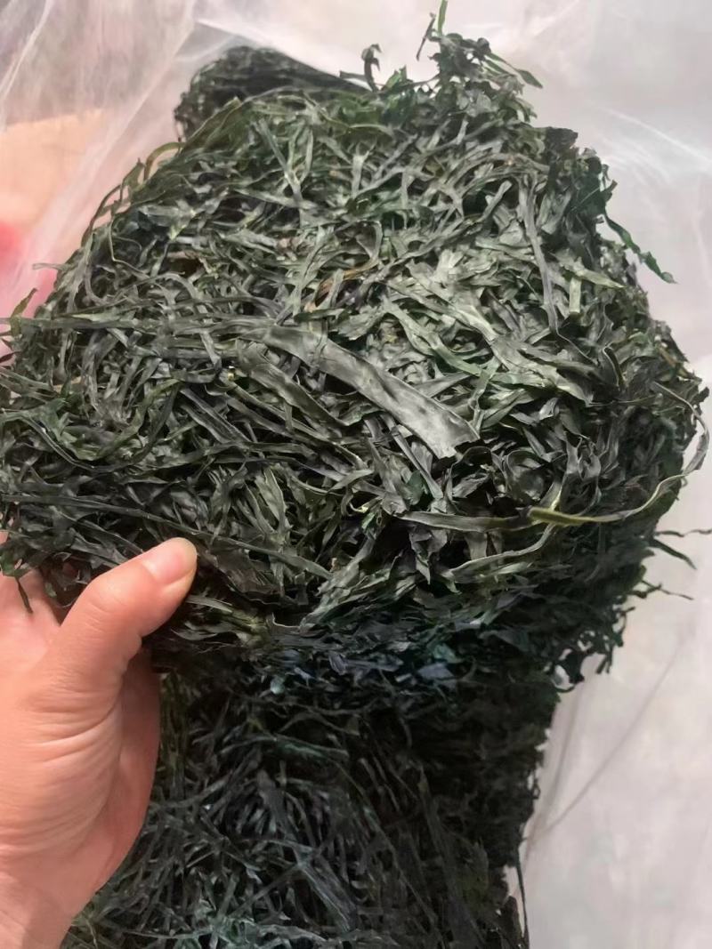 跑江湖烘干海带丝圈圈海带丝干海带丝厂家批发
