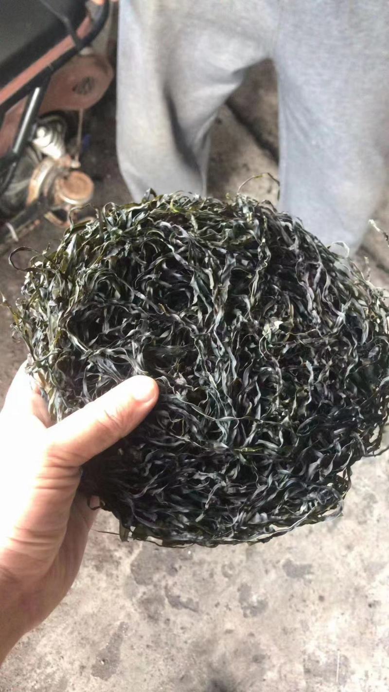 跑江湖烘干海带丝圈圈海带丝干海带丝厂家批发