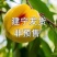 福建特产正宗建宁锦绣黄桃多汁当季水果