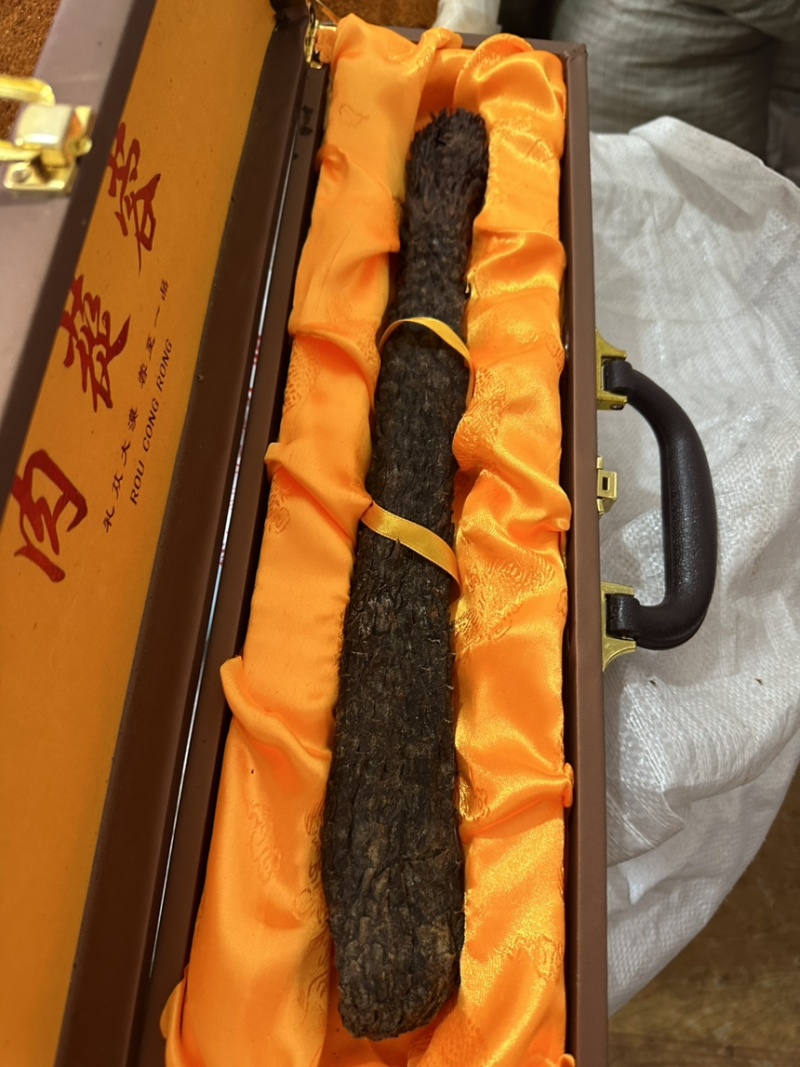 肉苁蓉大芸精选优质肉苁蓉，供应各种规格中药材及冷背药