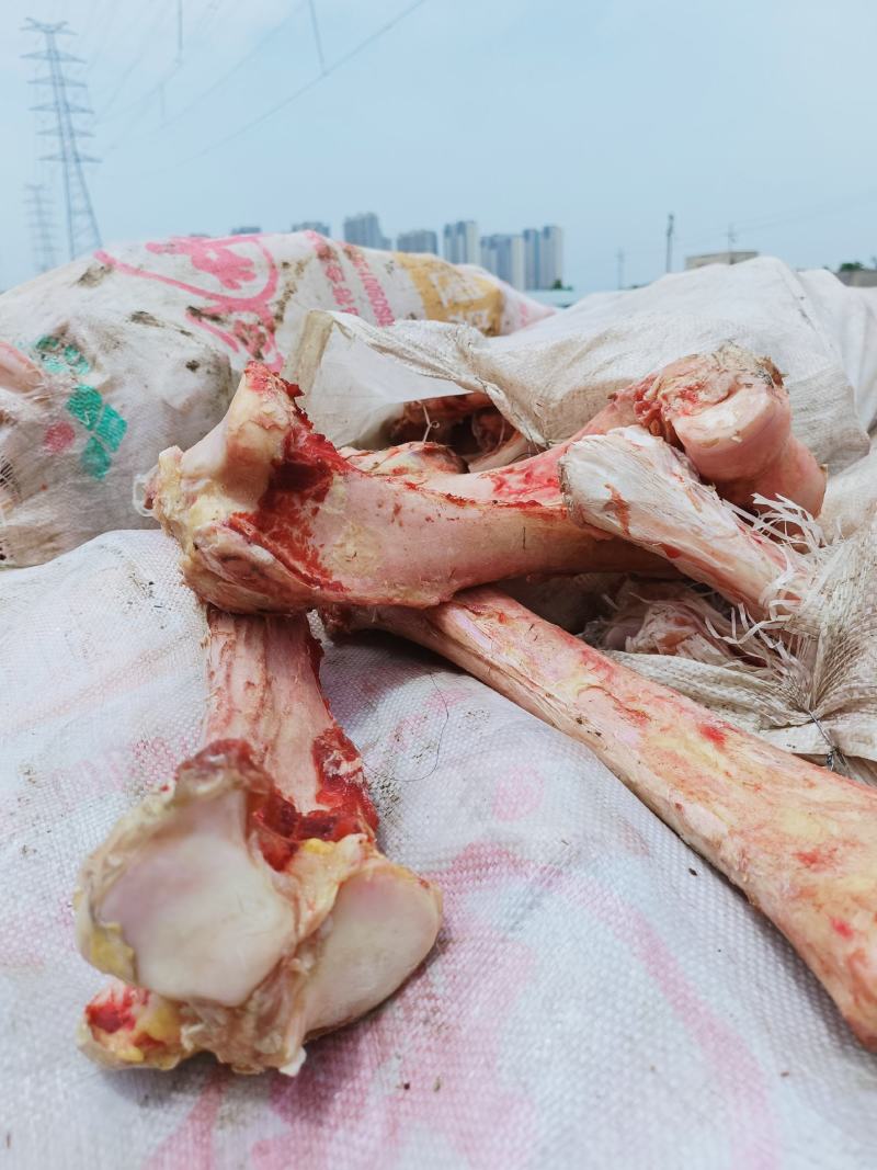 鲜驴棒骨一手货源品质保证量大从优采购