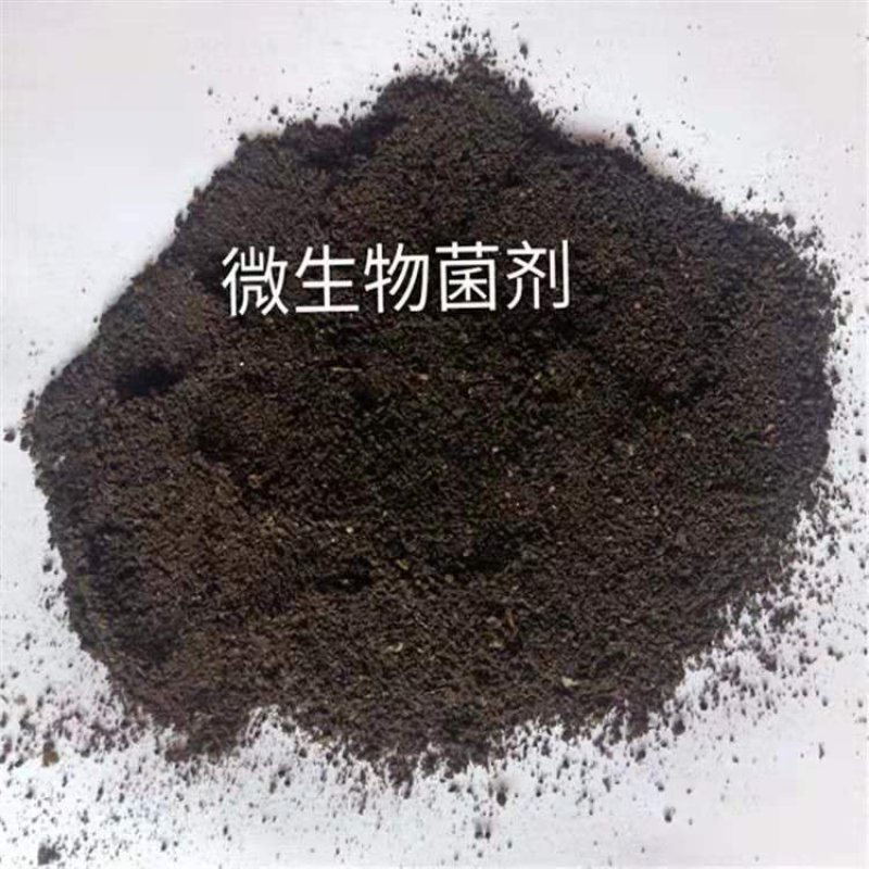 根多旺微生物菌剂有效活菌数10亿/克