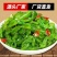 即食香辣海白菜裙带菜梗唇片开胃下饭菜多规格凉拌下饭小咸菜