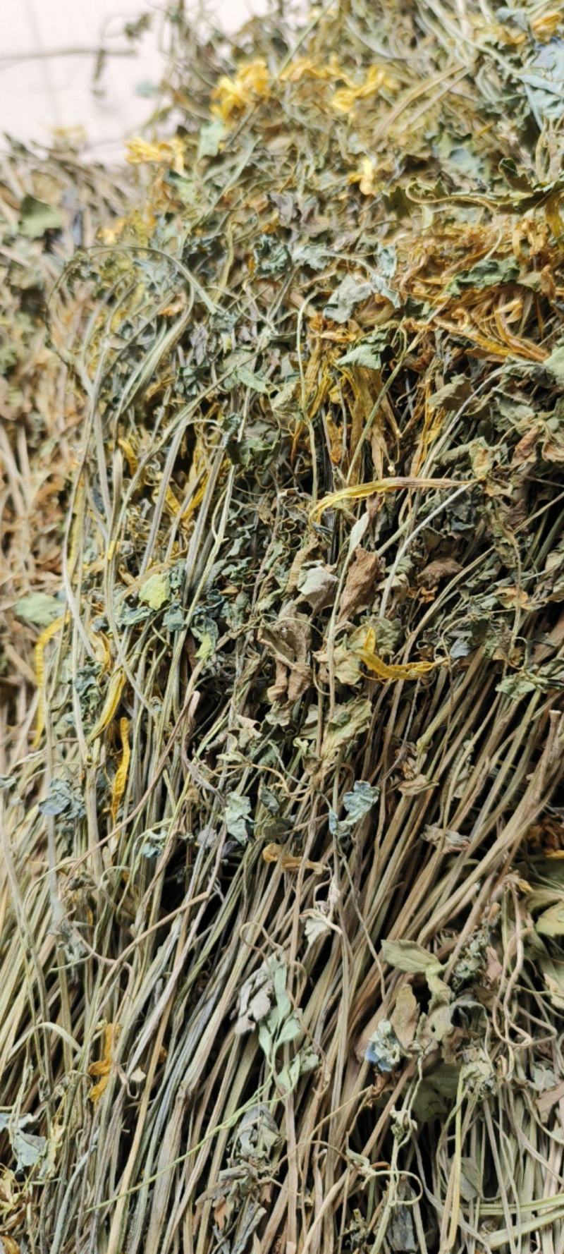 岩黄莲包邮岩黄连实物图拍摄常年供应量大从优一手货源