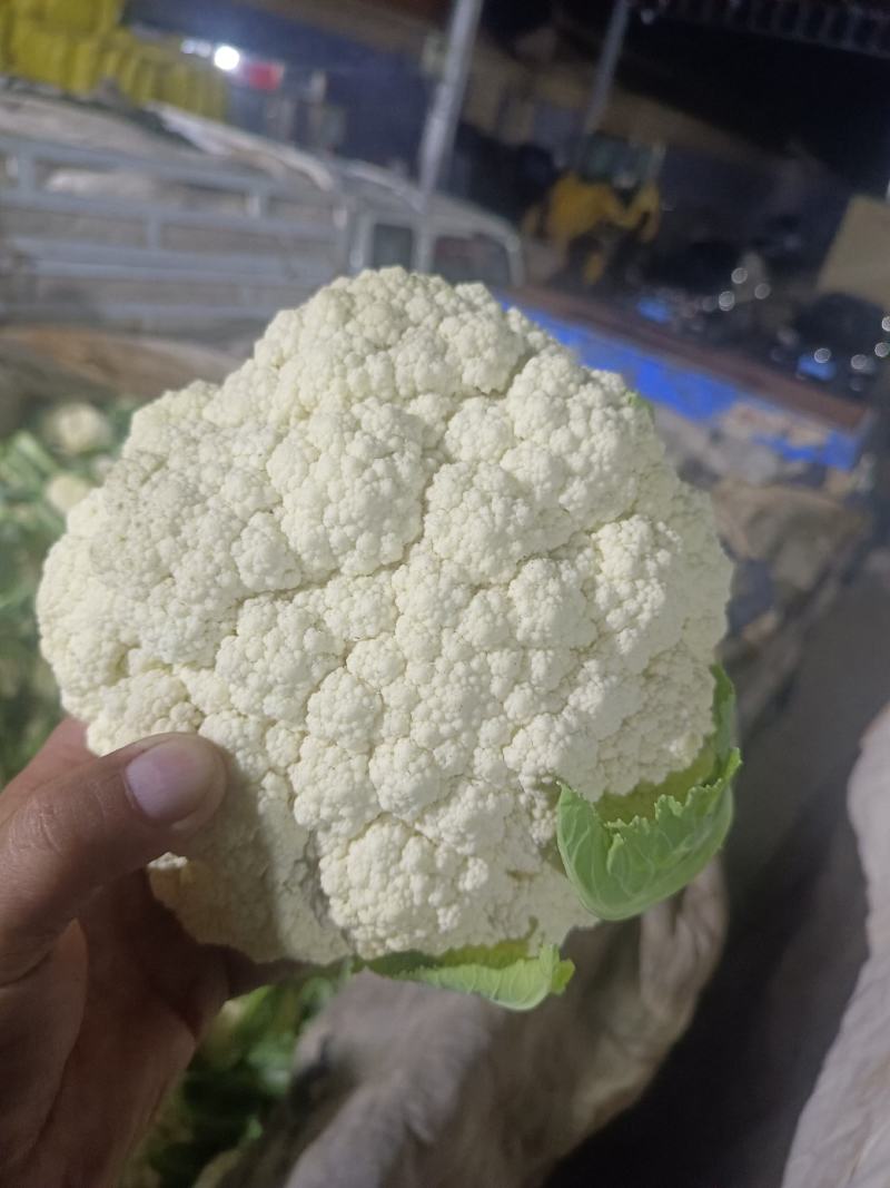 高原夏菜