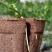 育苗基质营养土【玄土】保水透气纯植物纤维朔型省人工