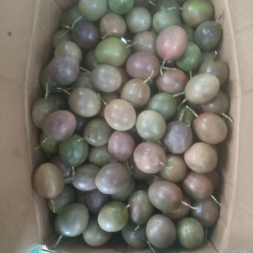 小电商少量走货