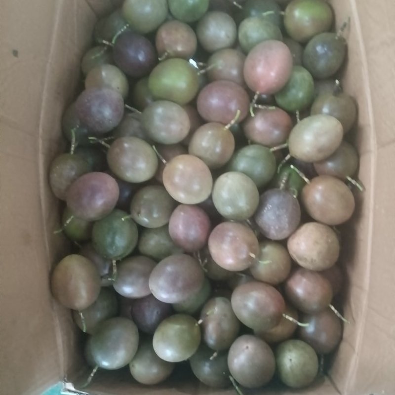 小电商少量走货
