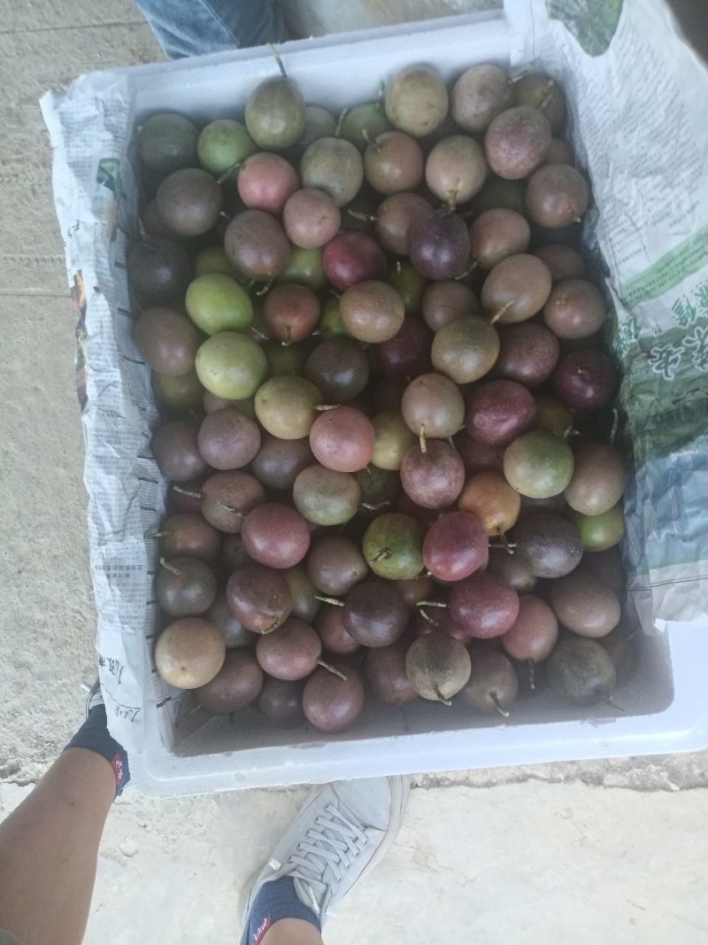 小电商少量走货