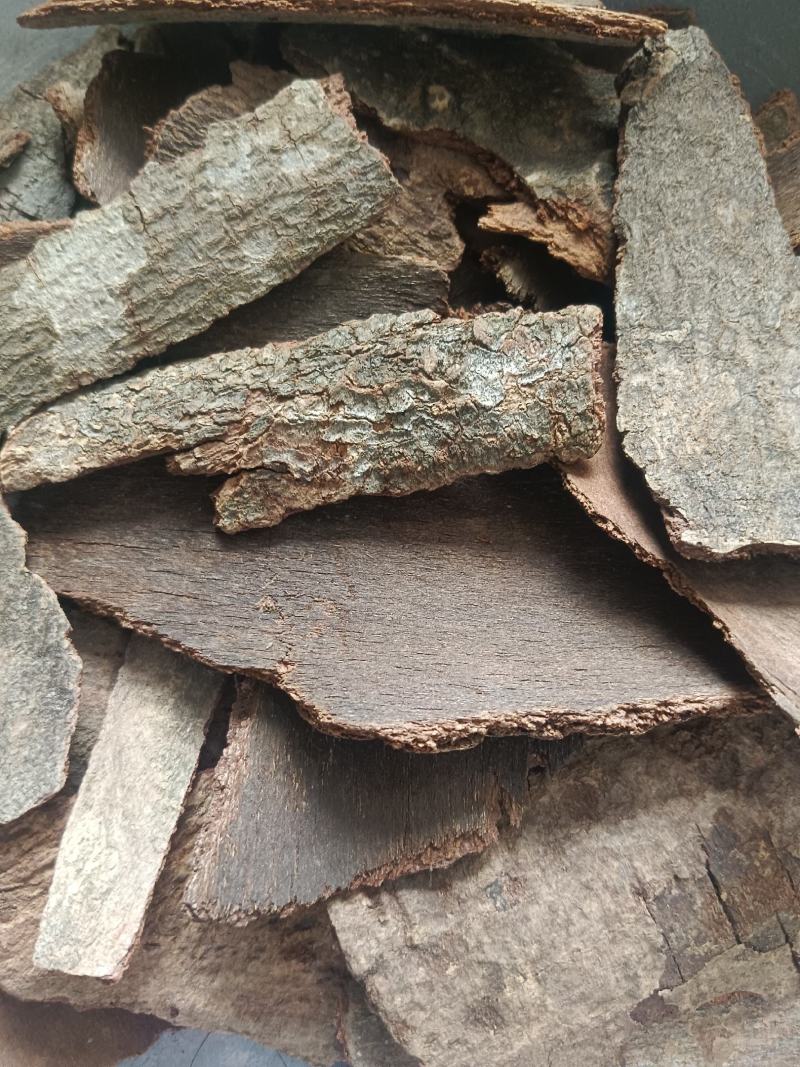 海桐皮（虎阳刺，鹊不踏）产地直发，实拍现货，