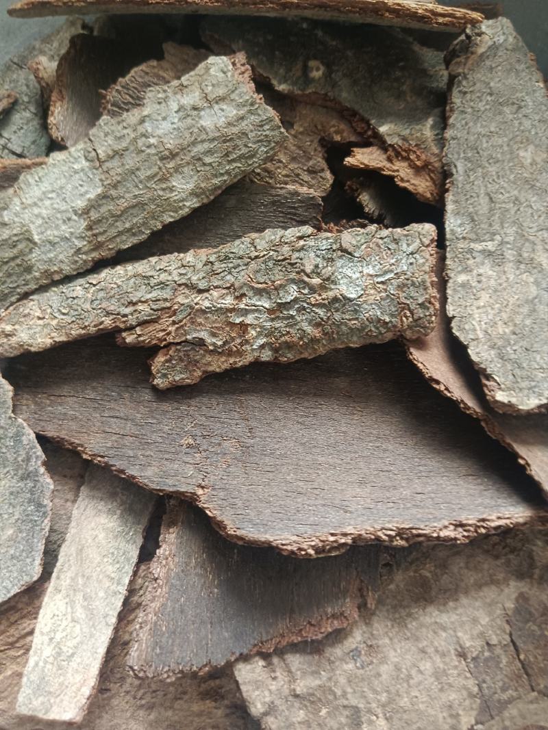 海桐皮（虎阳刺，鹊不踏）产地直发，实拍现货，