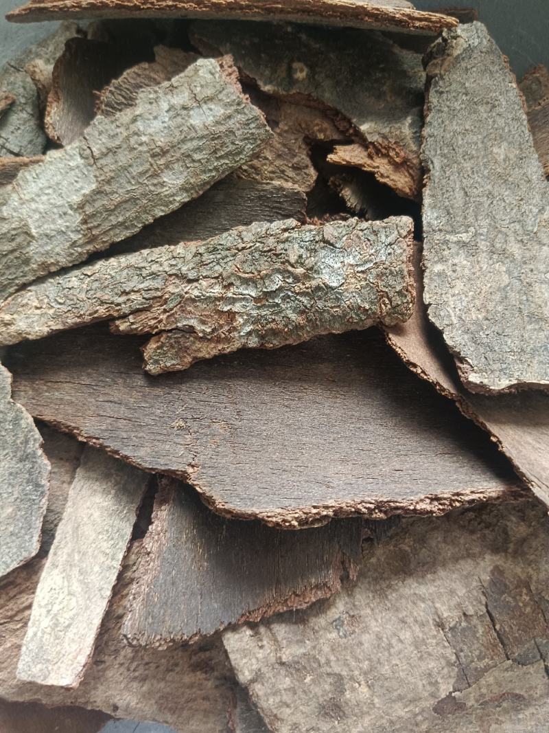 海桐皮（虎阳刺，鹊不踏）产地直发，实拍现货，