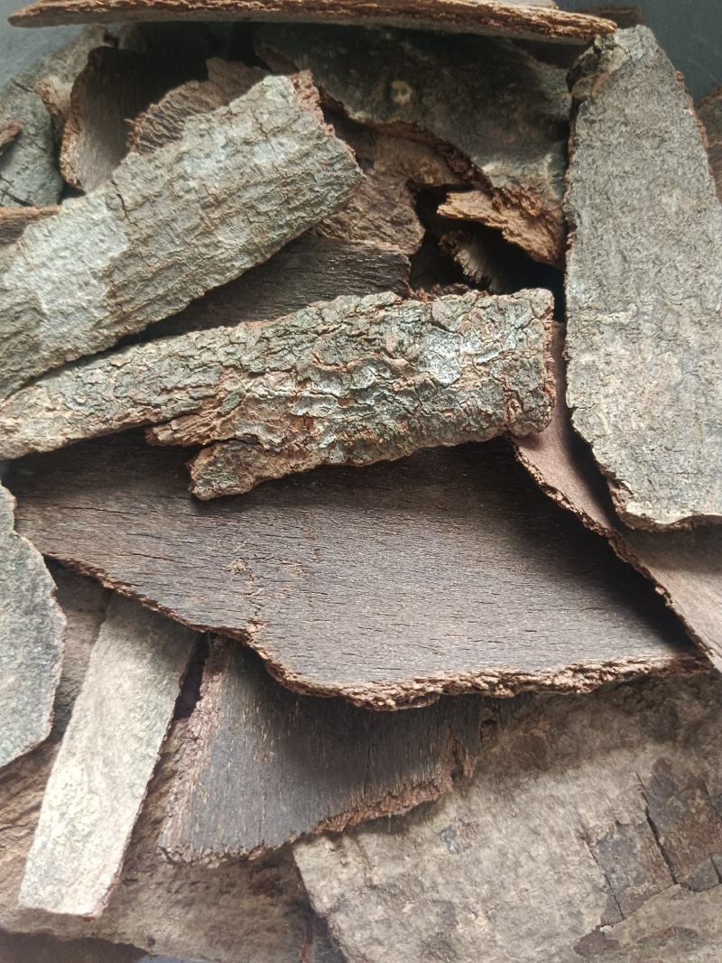 海桐皮（虎阳刺，鹊不踏）产地直发，实拍现货，