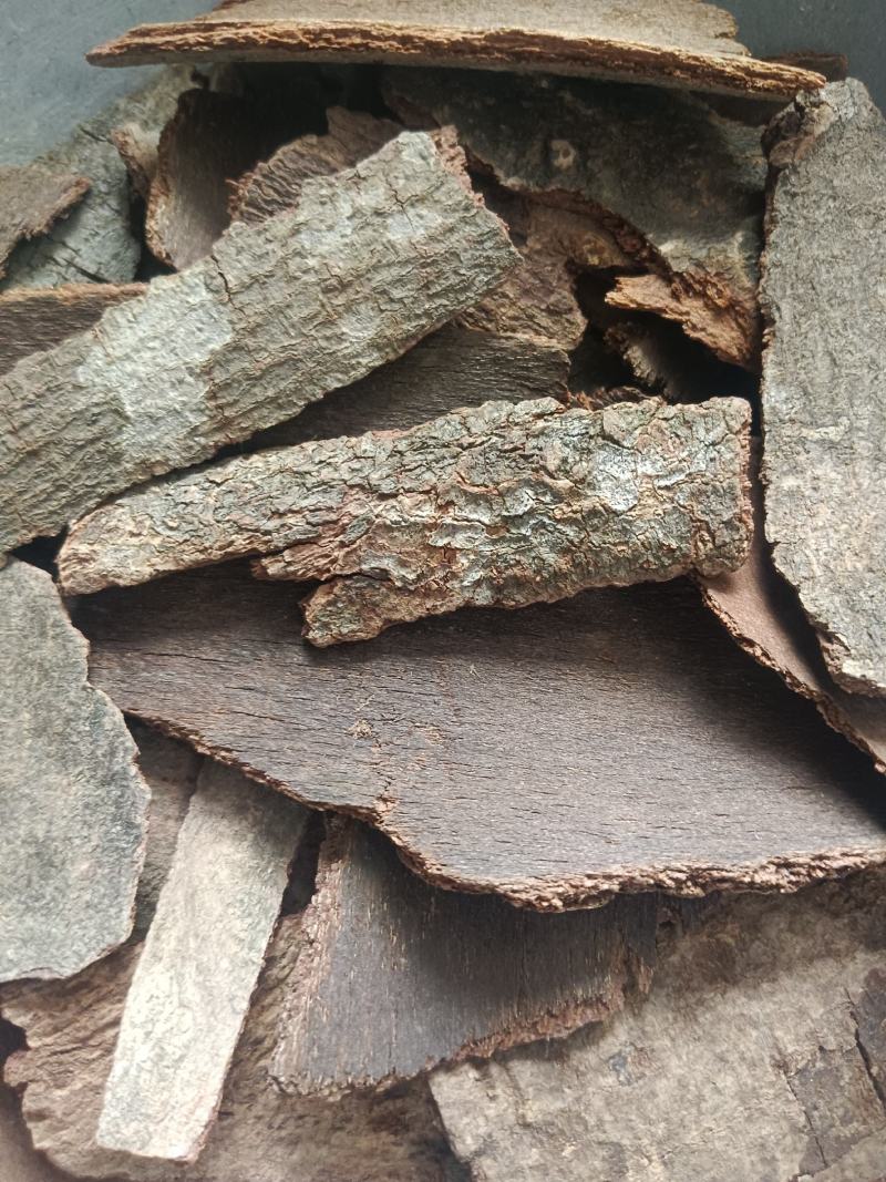 海桐皮（虎阳刺，鹊不踏）产地直发，实拍现货，