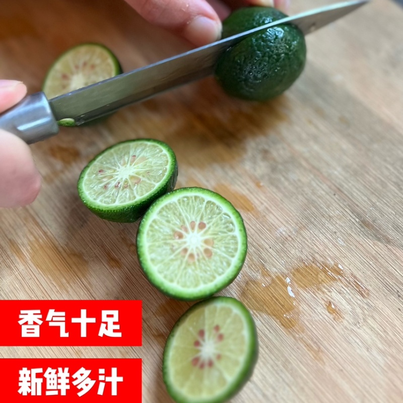 新会小青柑