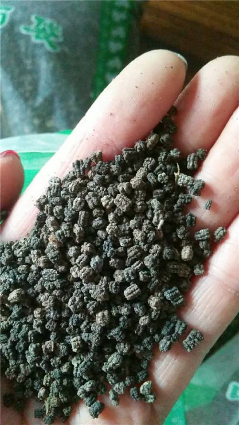 蚕砂蚕沙
