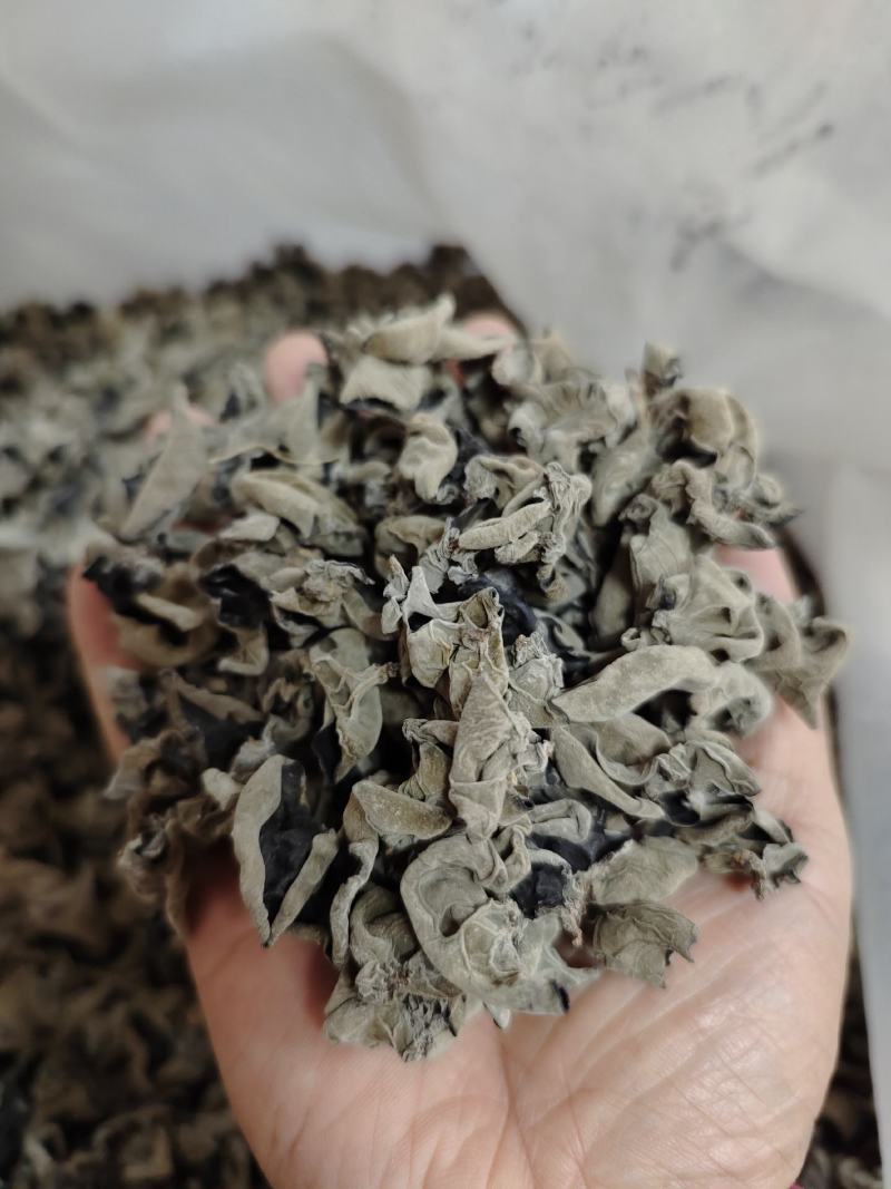 自产自销神农架椴木秋木耳原木黑木耳肉厚Q弹