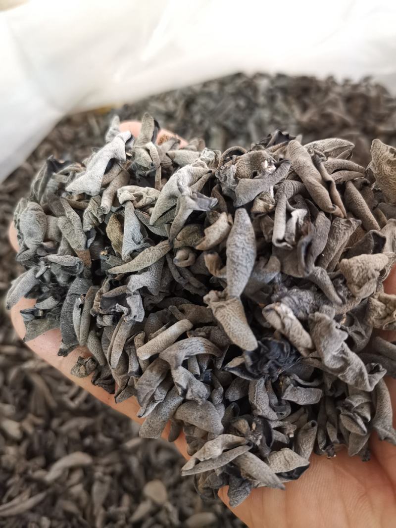 自产自销神农架椴木秋木耳原木黑木耳肉厚Q弹