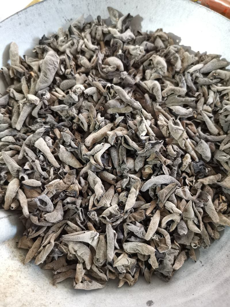 自产自销神农架椴木秋木耳原木黑木耳肉厚Q弹