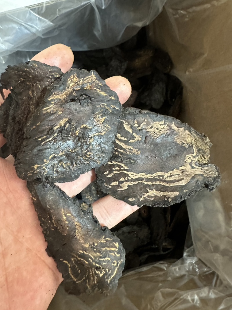 肉苁蓉泡酒原料大芸大芸片特级切片，各种规格药材