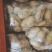 山东冷库土豆荷兰十五多个品种多个规格大量现货供应