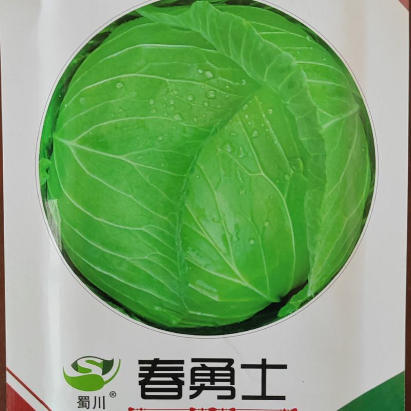 杂交耐寒甘蓝种子平顶包菜种子寒将军莲花白种子替换产品