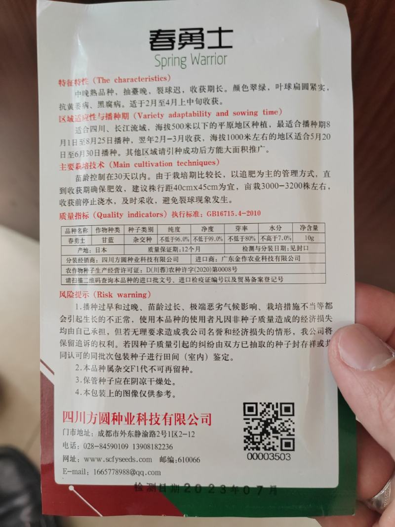 杂交耐寒甘蓝种子平顶包菜种子寒将军莲花白种子替换产品