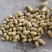 山东冷库土豆荷兰十五多个品种多个规格大量现货供应